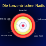 Sushumna-konzentrische Nadis_wd_tattva-vidya.de